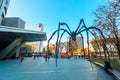 Maman - a spider sculpture at Mori tower building in Tokyo