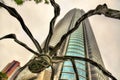 Maman, a spider sculpture, and Mori Tower in Roppongi Hills.