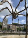 Maman. The spyder of the Guggenheim museum. Bilbao. Spain