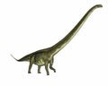 Mamenchisaurus dinosaur - 3D render