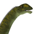 Mamenchisaurus hochuanensis Dinosaur Head