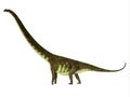 Mamenchisaurus hochuanensis Dinosaur Side Profile