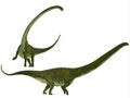 Mamenchisaurus hochuanensis