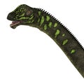 Mamenchisaurus youngi Dinosaur Head