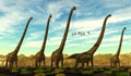 Mamenchisaurus youngi Dinosaur Herd