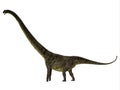 Mamenchisaurus youngi Dinosaur Side Profile