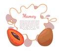 Mamey Exotic Juicy Fruit Vector Poster Frame Text Royalty Free Stock Photo