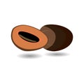 Mamey fruit on white background vector Royalty Free Stock Photo