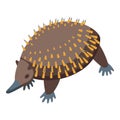 Mammal echidna icon isometric vector. Cute animal