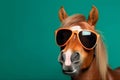 animal fun background isolated portrait goggles smile colourful funny sunglasses horse. Generative AI.