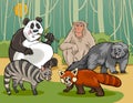 Mammals animals cartoon illustration