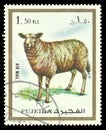 Mammals, Animals, Domestic Sheep