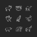 Mammals and birds chalk white icons set on black background Royalty Free Stock Photo