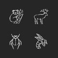 Mammals and insects chalk white icons set on black background Royalty Free Stock Photo