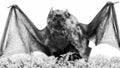 Mammals naturally capable of true and sustained flight. Bat emit ultrasonic sound to produce echo. Bat detector. Ugly Royalty Free Stock Photo