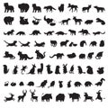 Mammals of the world. Extra big set of animals gray silhouettes Royalty Free Stock Photo