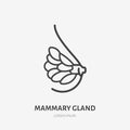 Mammary gland flat line icon. Vector thin pictogram of female breast anatomy, outline illustration for medical clinic