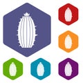 Mammillaria bocasana icons set hexagon