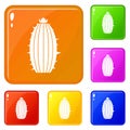 Mammillaria bocasana icons set vector color