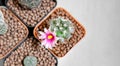 Mammillaria Schumannii Cactus with Blooming Flower Planted in a Pot Royalty Free Stock Photo