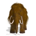 Mammoth