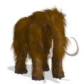 Mammoth Royalty Free Stock Photo