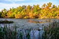 Mammoth Cave National Park Royalty Free Stock Photo