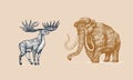 Mammoth or extinct elephant and Irish elk or Giant deer or Great Horn. Trunked mammals or proboscideans. Large animal