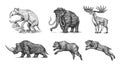 Mammoth or extinct elephant, Woolly rhinoceros Cave bear lion. Panthera Saber toothed tiger, Irish elk or deer, Ground