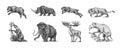 Mammoth or extinct elephant, Woolly rhinoceros Cave bear lion. Panthera Saber toothed tiger, Irish elk or deer, Ground