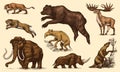 Mammoth or extinct elephant, Woolly rhinoceros Cave bear lion. Panthera Saber toothed tiger, Irish elk or deer, Ground