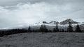 Mammoth hill in black & white