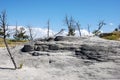 Mammoth hot spring terraces in Yellowstone National Park