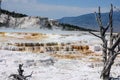 Mammoth hot spring terraces in Yellowstone National Park Royalty Free Stock Photo