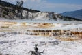 Mammoth hot spring terraces in Yellowstone National Park