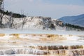 Mammoth hot spring terraces in Yellowstone National Park Royalty Free Stock Photo