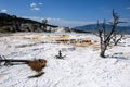 Mammoth hot spring terraces in Yellowstone National Park