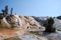 Mammoth hot spring terraces in Yellowstone National Park Royalty Free Stock Photo