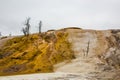 Mammoth hot spring in Yellowstone NationalPark