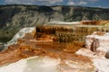 Mammoth hot springs Royalty Free Stock Photo