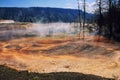 Mammoth Hot Springs on hill peak, Yellowstone Royalty Free Stock Photo