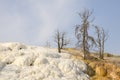 Yellowstone N.P. - Mammoth Hot Springs - very bizar.