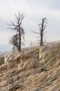 Yellowstone N.P. - Mammoth Hot Springs - very bizar.