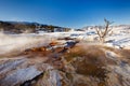 Mammoth Hot Springs with steamy terraces during winter snowy season in Yellowstone National Park, Wyoming