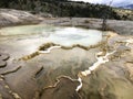 Mammoth hot springs terraces Royalty Free Stock Photo