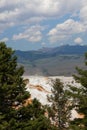 Mammoth Hot Springs Royalty Free Stock Photo