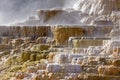 Mammoth Hot Springs