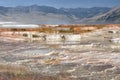 Mammouth hot springs