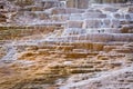 Mammoth hot springs, Yellowstone National Park Royalty Free Stock Photo