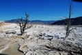 Mammoth Hot Springs in Yellowstone National Park, Wyoming Montana. Great hiking. Royalty Free Stock Photo